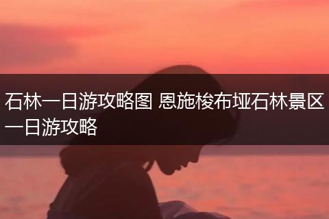 石林一日游攻略图 恩施梭布垭石林景区一日游攻略