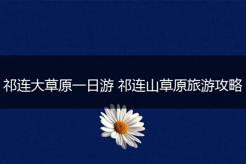 祁连大草原一日游 祁连山草原旅游攻略
