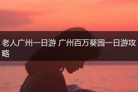 老人广州一日游 广州百万葵园一日游攻略