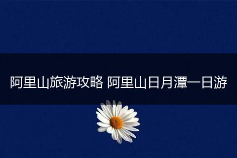 阿里山旅游攻略 阿里山日月潭一日游