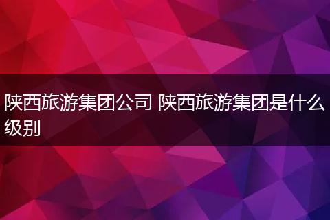 陕西旅游集团公司 陕西旅游集团是什么级别