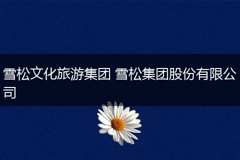 雪松文化旅游集团 雪松集团股份有限公司