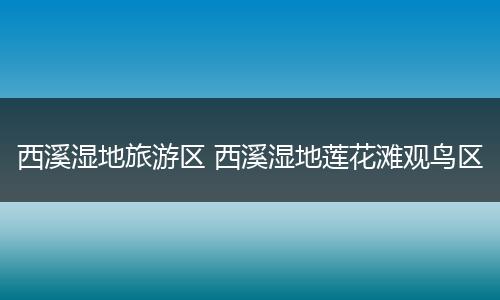 西溪湿地旅游区 西溪湿地莲花滩观鸟区