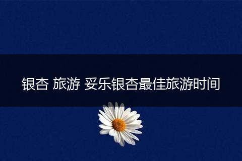 银杏 旅游 妥乐银杏最佳旅游时间