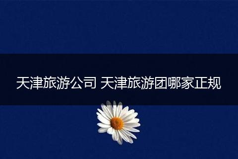 天津旅游公司 天津旅游团哪家正规