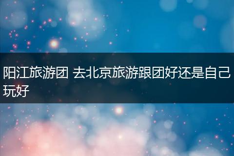 阳江旅游团 去北京旅游跟团好还是自己玩好