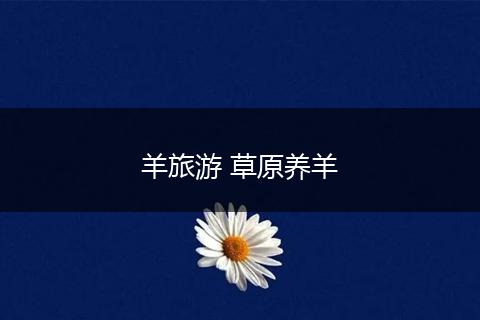 羊旅游 草原养羊