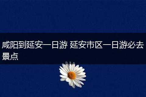 咸阳到延安一日游 延安市区一日游必去景点