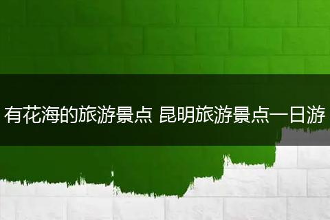 有花海的旅游景点 昆明旅游景点一日游