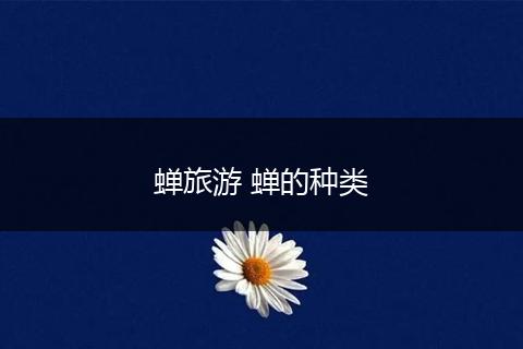 蝉旅游 蝉的种类