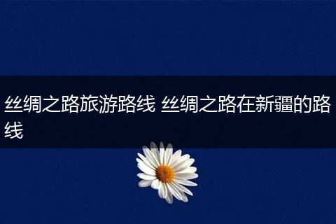 丝绸之路旅游路线 丝绸之路在新疆的路线