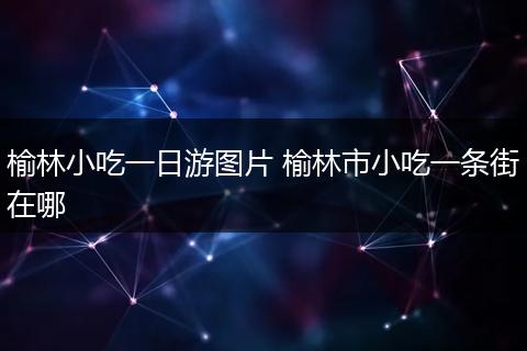 榆林小吃一日游图片 榆林市小吃一条街在哪