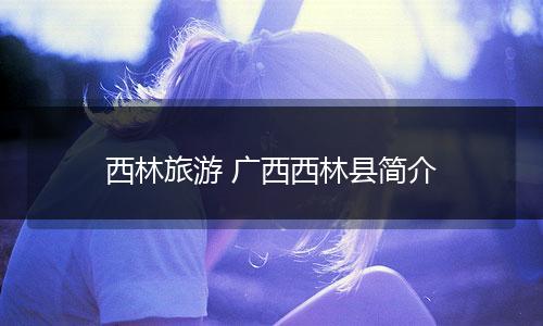 西林旅游 广西西林县简介