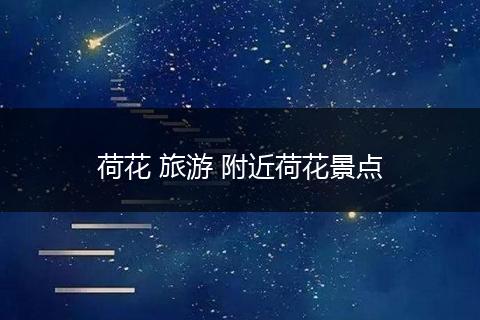 荷花 旅游 附近荷花景点