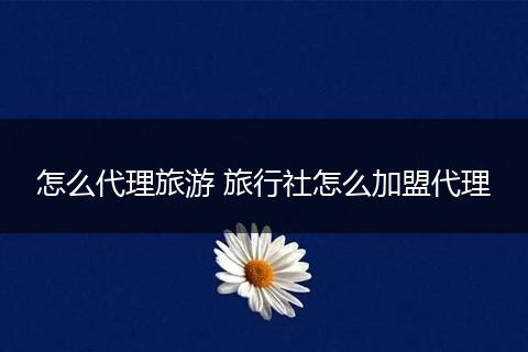 怎么代理旅游 旅行社怎么加盟代理