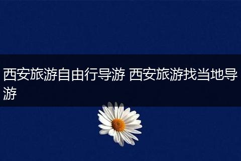 西安旅游自由行导游 西安旅游找当地导游