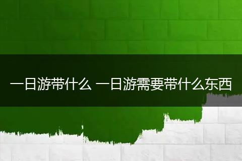 一日游带什么 一日游需要带什么东西