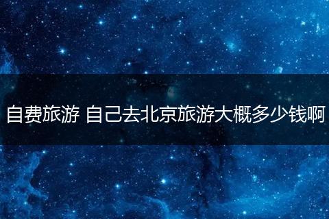 自费旅游 自己去北京旅游大概多少钱啊