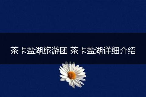 茶卡盐湖旅游团 茶卡盐湖详细介绍