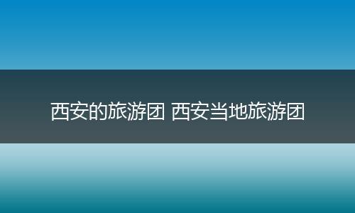 西安的旅游团 西安当地旅游团