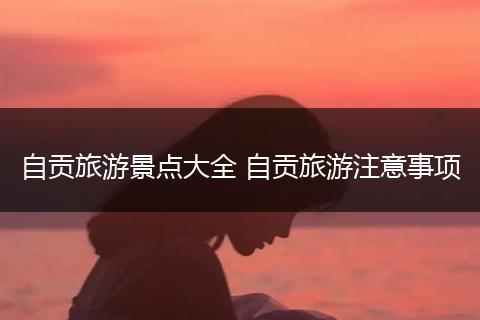 自贡旅游景点大全 自贡旅游注意事项