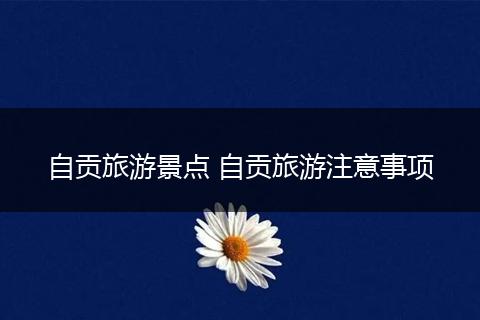 自贡旅游景点 自贡旅游注意事项