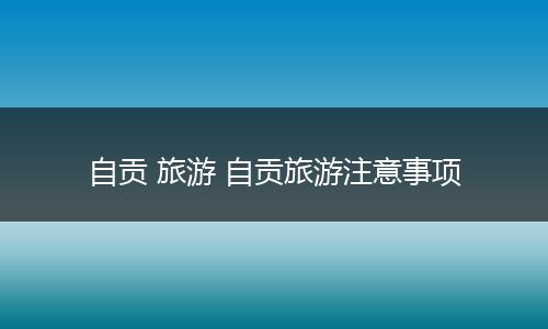 自贡 旅游 自贡旅游注意事项