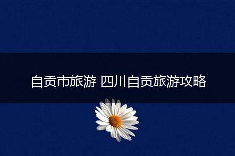 自贡市旅游 四川自贡旅游攻略