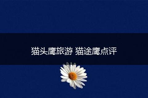 猫头鹰旅游 猫途鹰点评