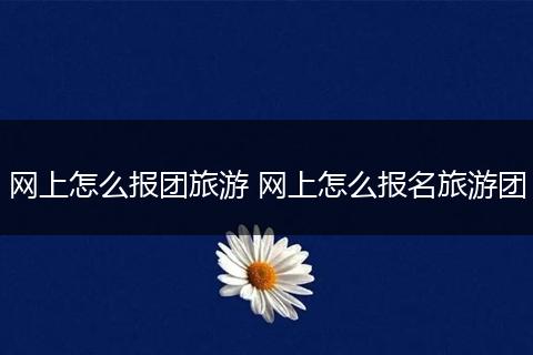 网上怎么报团旅游 网上怎么报名旅游团
