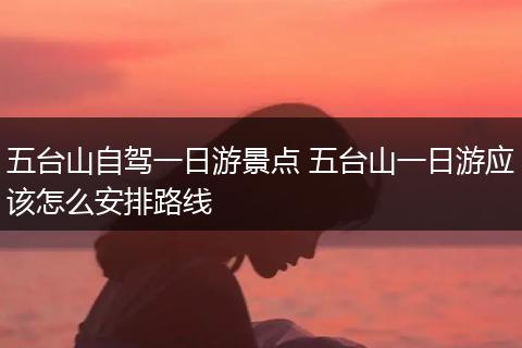 五台山自驾一日游景点 五台山一日游应该怎么安排路线