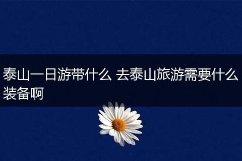 泰山一日游带什么 去泰山旅游需要什么装备啊