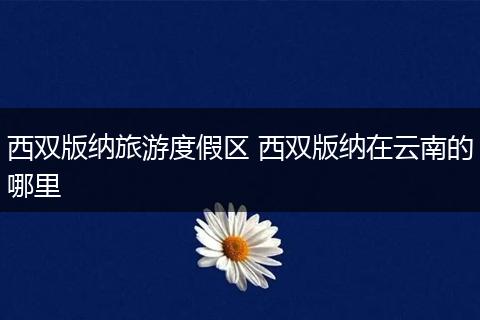 西双版纳旅游度假区 西双版纳在云南的哪里