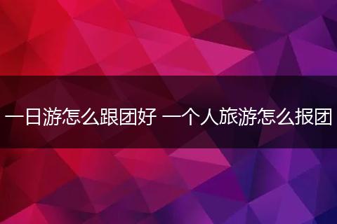 一日游怎么跟团好 一个人旅游怎么报团