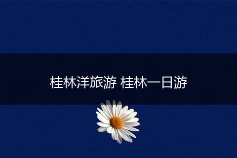 桂林洋旅游 桂林一日游