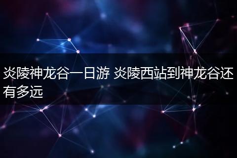 炎陵神龙谷一日游 炎陵西站到神龙谷还有多远