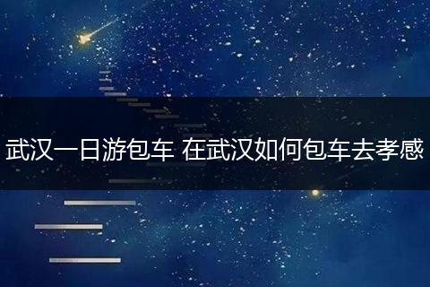 武汉一日游包车 在武汉如何包车去孝感