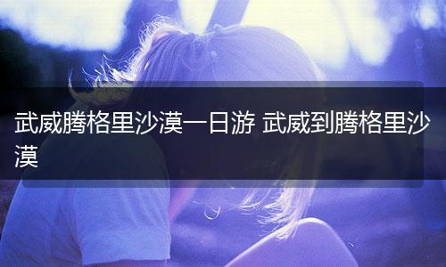 武威腾格里沙漠一日游 武威到腾格里沙漠