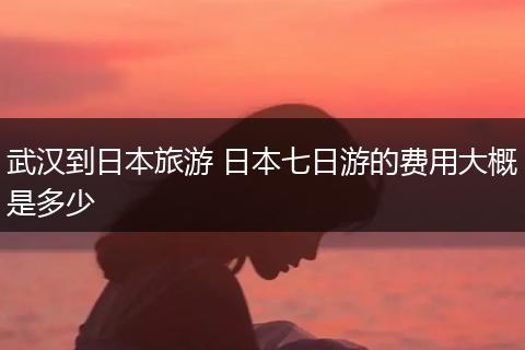 武汉到日本旅游 日本七日游的费用大概是多少