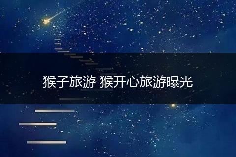 猴子旅游 猴开心旅游曝光