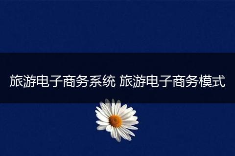 旅游电子商务系统 旅游电子商务模式