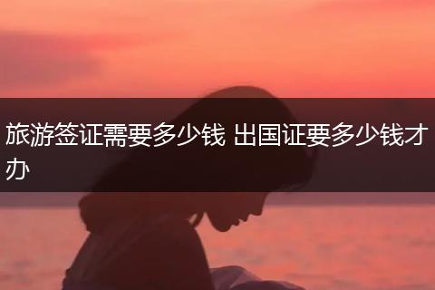 旅游签证需要多少钱 出国证要多少钱才办