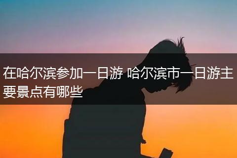在哈尔滨参加一日游 哈尔滨市一日游主要景点有哪些