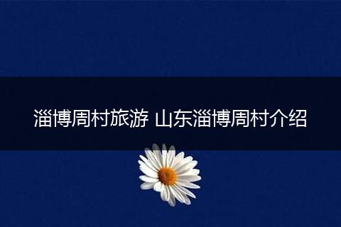 淄博周村旅游 山东淄博周村介绍