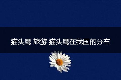 猫头鹰 旅游 猫头鹰在我国的分布