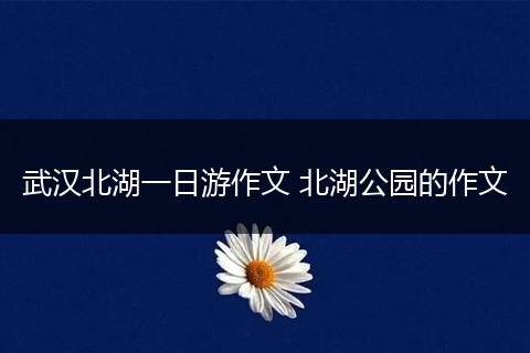 武汉北湖一日游作文 北湖公园的作文