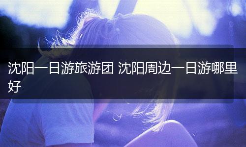 沈阳一日游旅游团 沈阳周边一日游哪里好