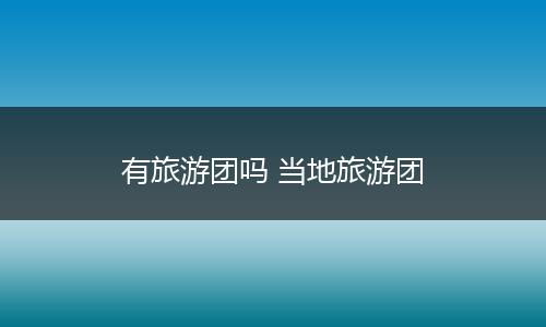 有旅游团吗 当地旅游团