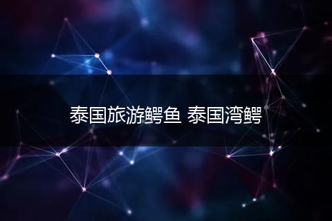 泰国旅游鳄鱼 泰国湾鳄