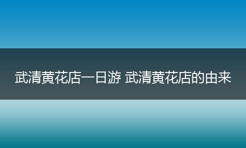 武清黄花店一日游 武清黄花店的由来